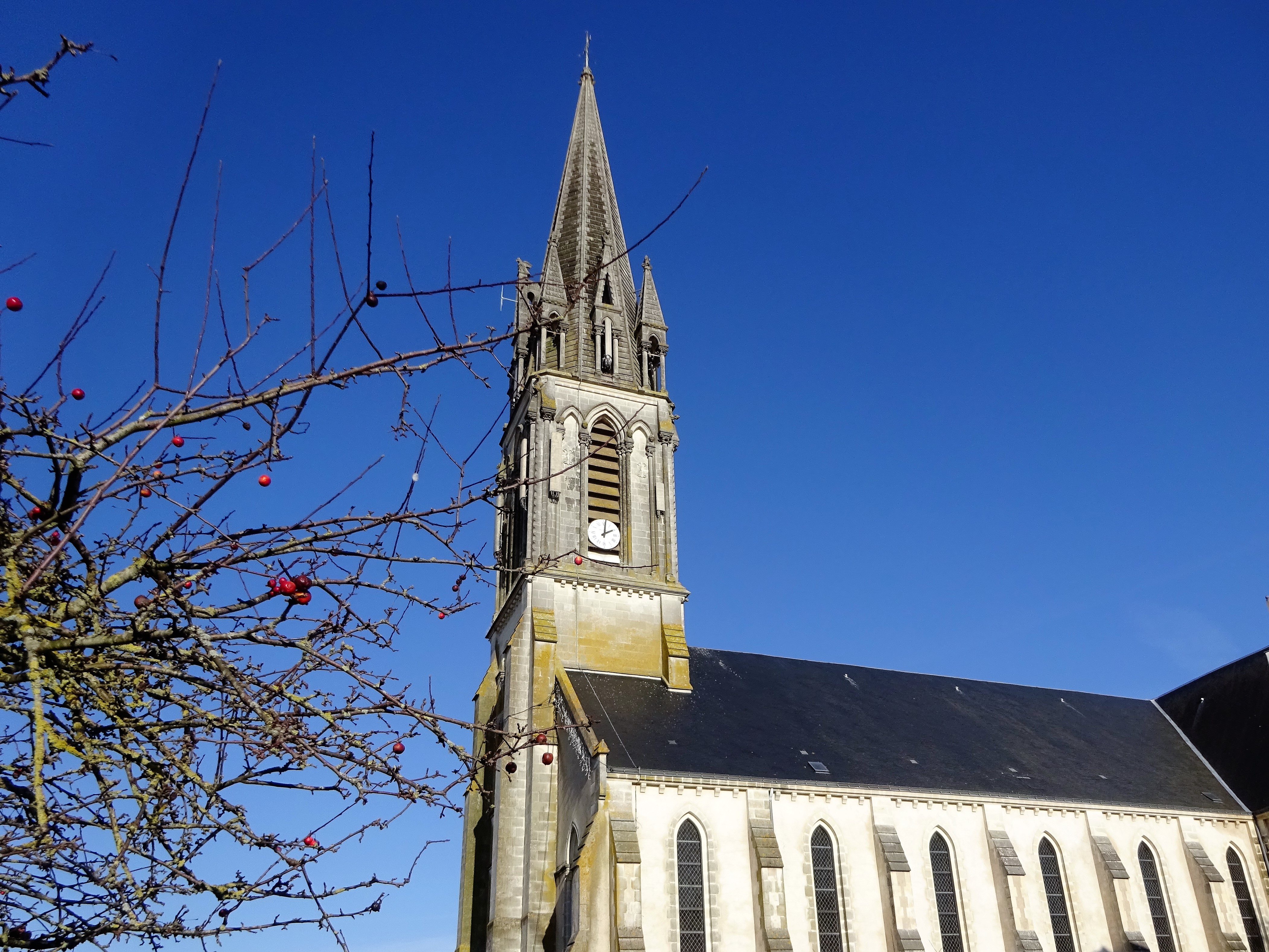 vente MAISON CENTRE DE ST SEBASTIEN SUR LOIRE